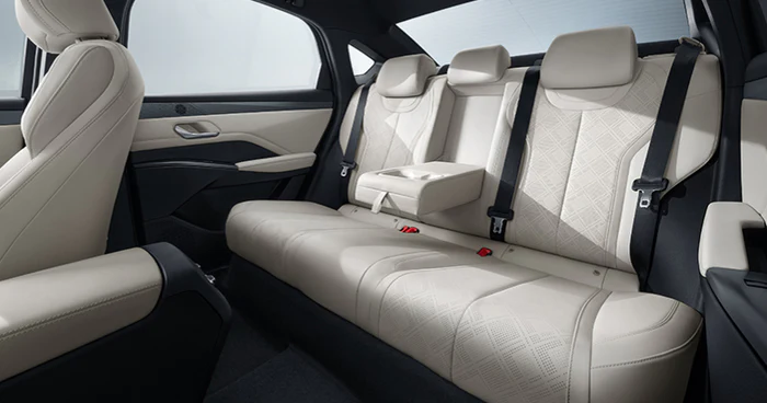 BYD Qin PLUS EV — fotografia z galerii produktu